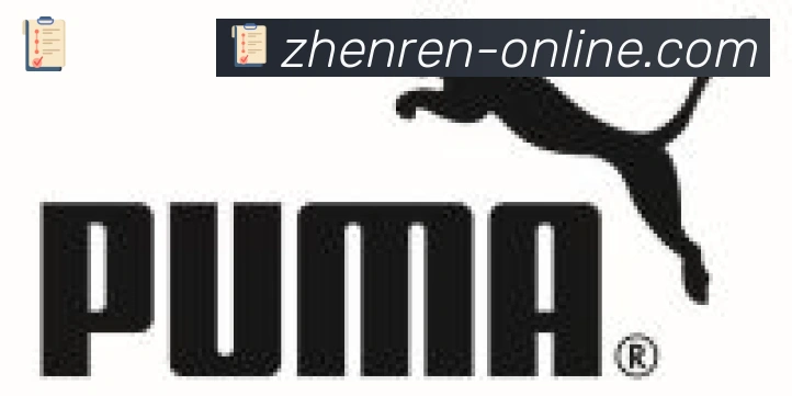 DB真人合作伙伴